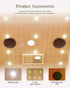 Full Spectrum Infrared Sauna - Pre Order